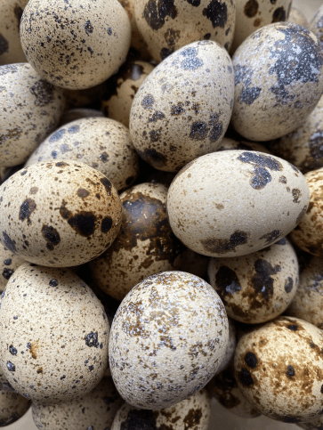Photo related to Small Eggs, Big Possibilities: Cooking with Local Quail Eggs