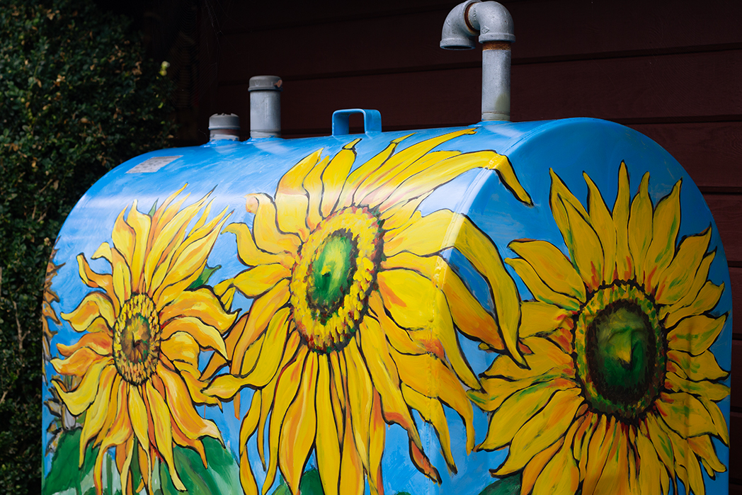 Topping up on sunflowers